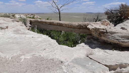 A relatively short drive through the painted desert and petrified forest has a number of great view points and petroglyphs. Definitely a must see place in Arizona.