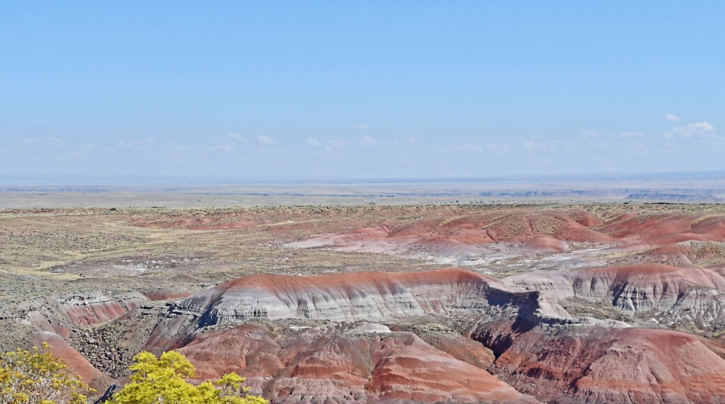 For those of us that have used the Interstate highway system to get from Point A to Point B know that the driving can get boring.
Several years ago we did the Painted Desert as a destination This time we stopped to get off the Interstate for awhile. But what a break from driving.
Keep your eyes peeled for a posted opportunity or just take the next exit. You never know what you might find.
#Trovember