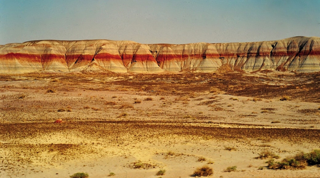 The Painted desert is composed of stratified layers of easily erodible siltstone, mudstone, and shale of the Triassic Chinle Formation. These fine grained rock layers contain abundant iron and manganese compounds which provide the pigments for the various colors of the region. Thin resistant lacustrine limestone layers and volcanic flows cap the mesas. Numerous layers of silicic volcanic ash occur in the Chinle and provide the silica for the petrified logs of the area. The erosion of these layers has resulted in the formation of the badlands topography of the region.
Wind, water and soil erosion continue to change the face of the landscape by shifting sediment and exposing layers of the Chinle Formation.
It's a very wonderful place, you can admire a many different colors, you feel like if you were in a real painting.