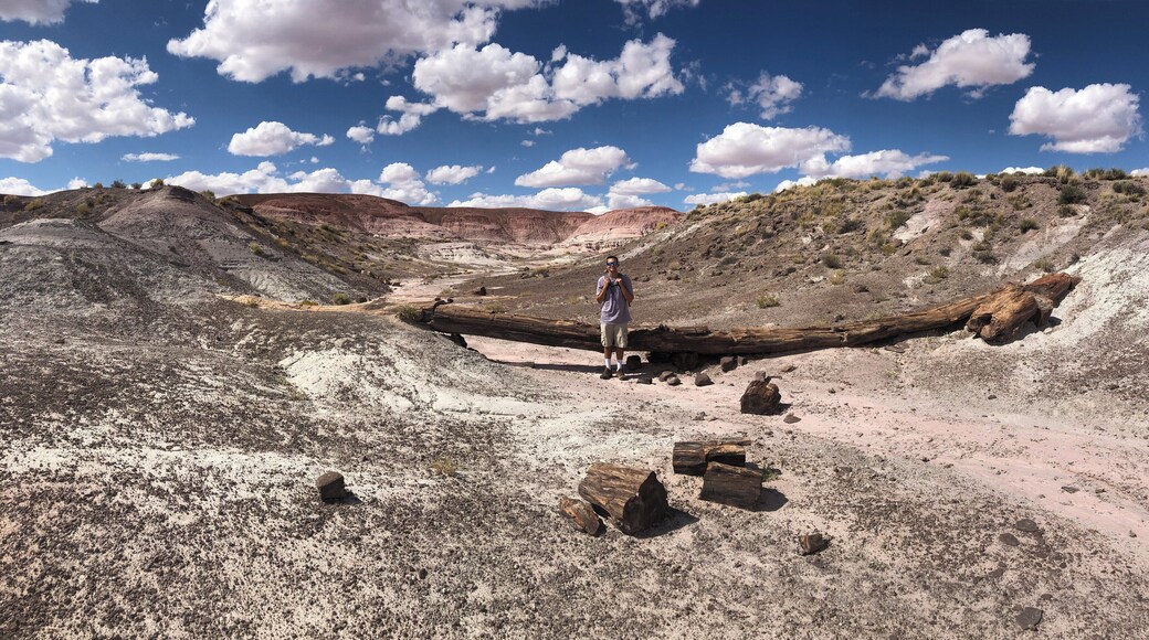 Today was officially three months of us on this trip around the US, we went to the Petrified Forest National Park and walked down an area of no trails to find the onyx bridge, on the way down we did the straight line challenge where we had to go up or down whatever was in our path and ended up climbing down a cliff, then we got near the point and had to detour to see the bridge, was a fun hike and a good way to celebrate our 3 months of traveling #adventure