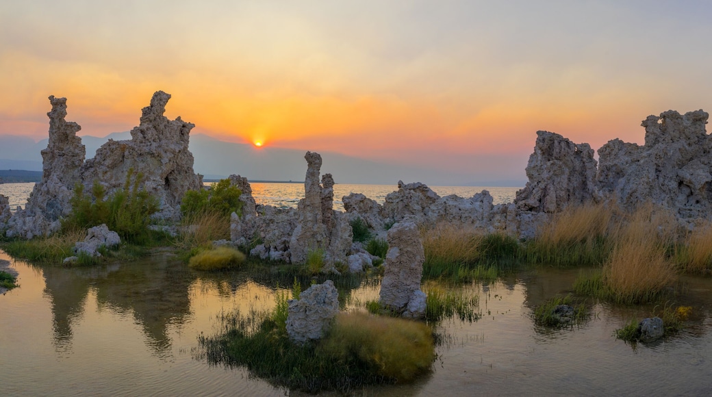 Beautiful tufa in mono lake, California