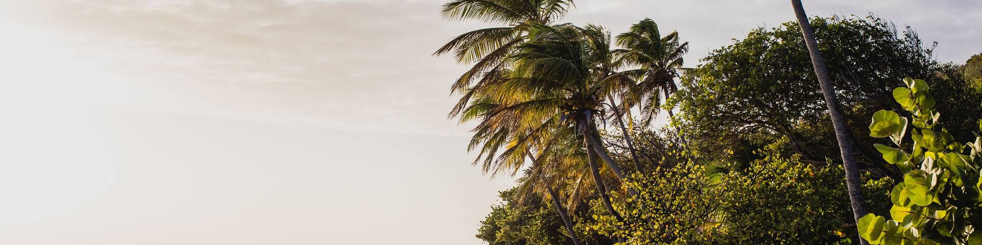 Traumstrand Petit St. Vincent, Grenadines, Karibik