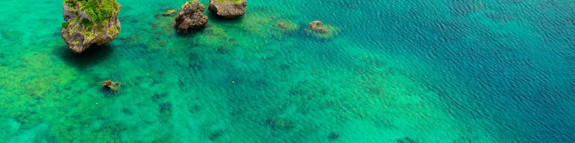 Okinawa which includes coral