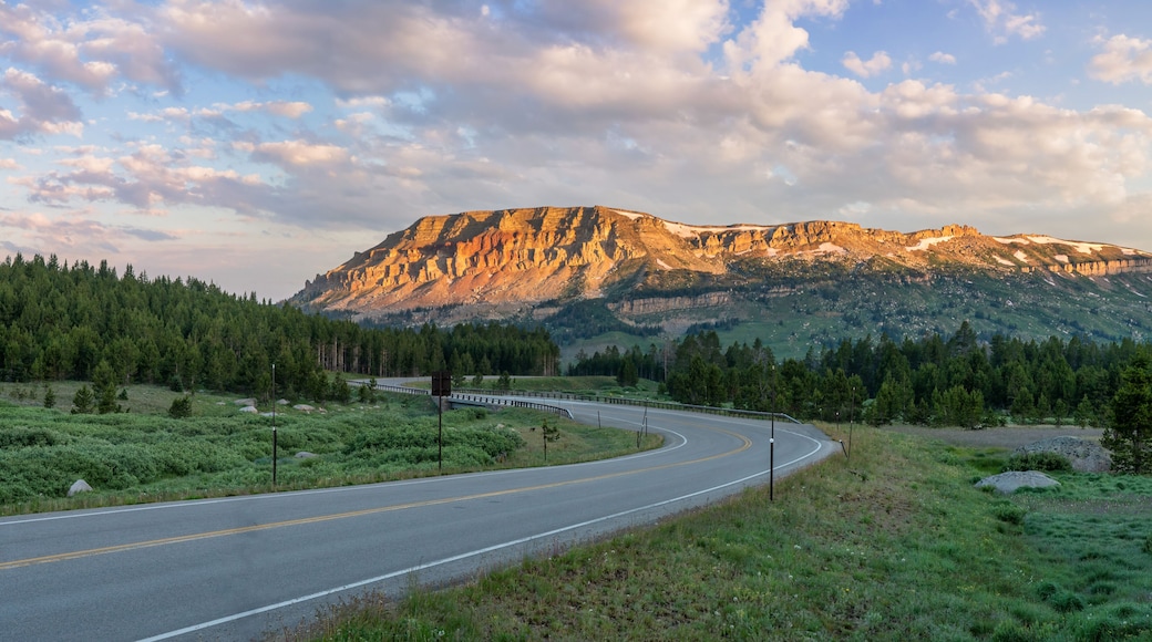 Fist morning light on the Beartooth Highway - alpine meadows and wild flowers - Beartooth lake campground