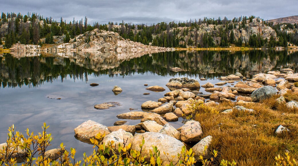 Beartooth Reflection