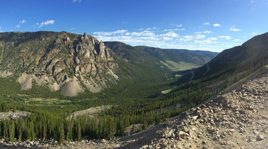 #lifeatexpedia #roadtrip #yellowstone