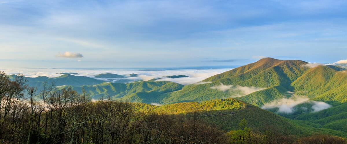 A mountainous landscape with dense forests and a valley.