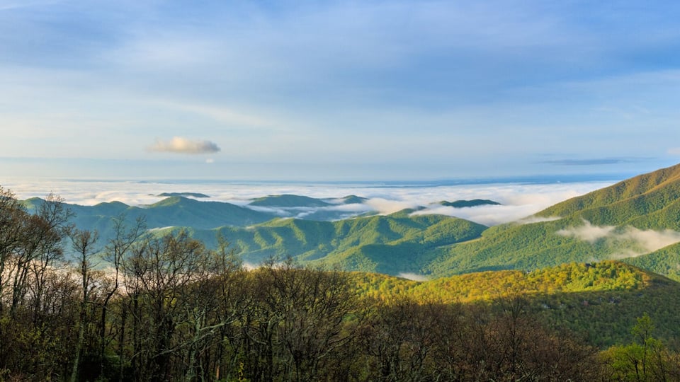 A mountainous landscape with dense forests and a valley.