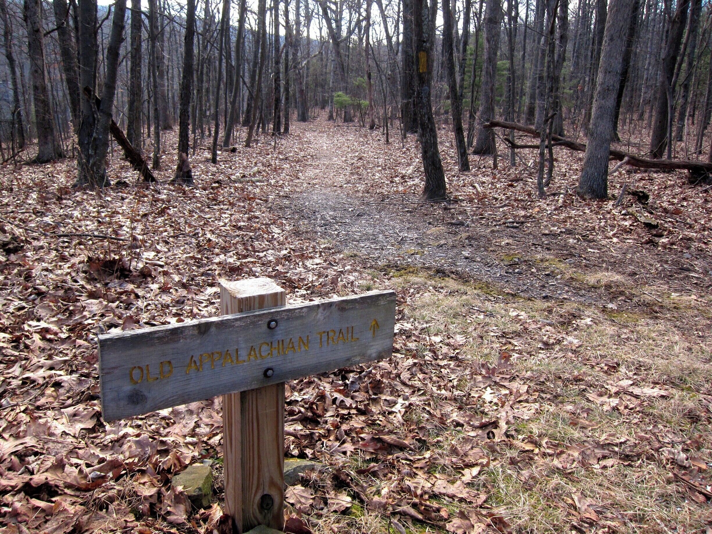 You can pick up the new and old Appalachian Trails near Wintergreen.  We had a lovely walk even on a cold winter day.