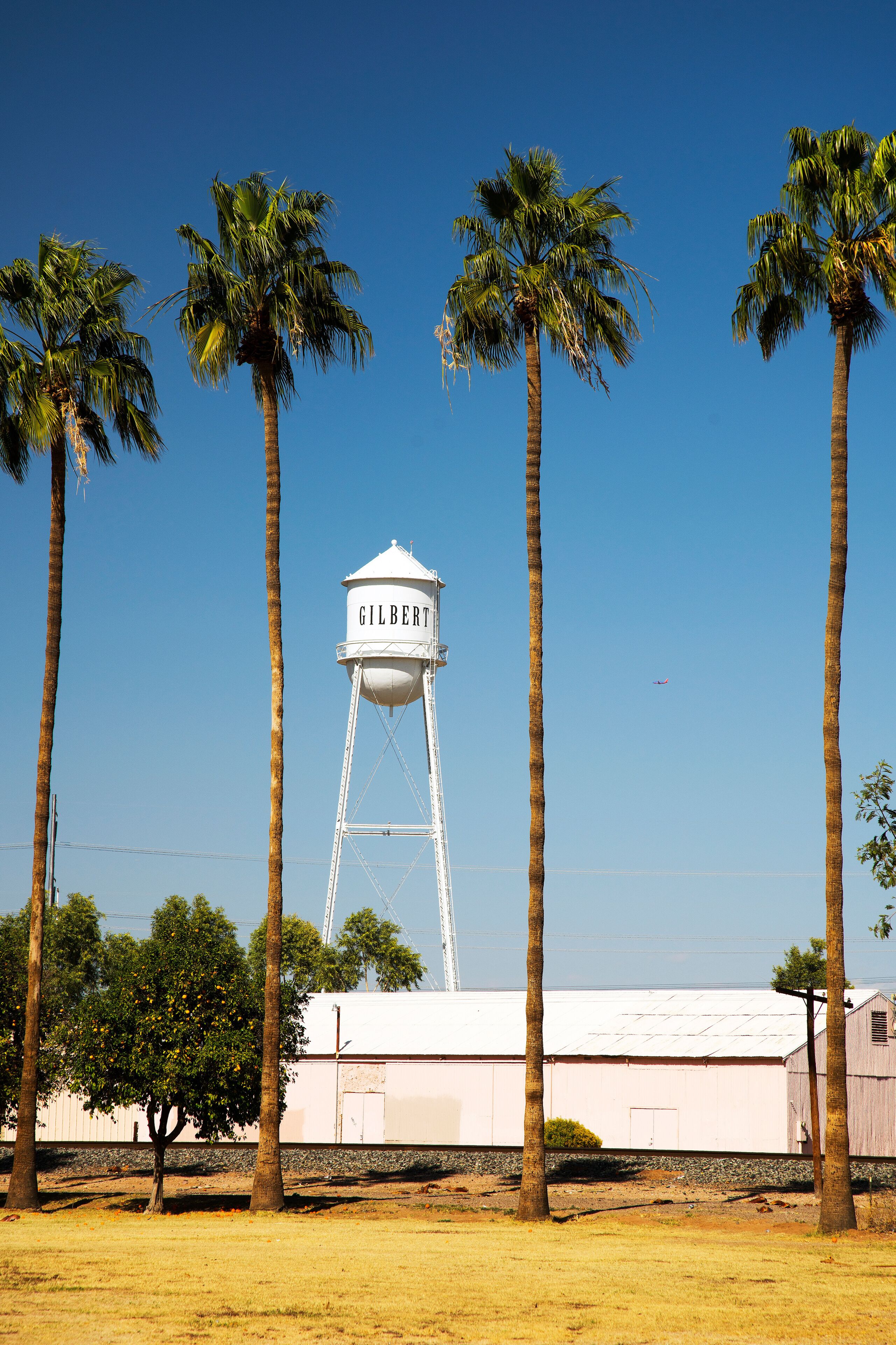 Gilbert Water Tower