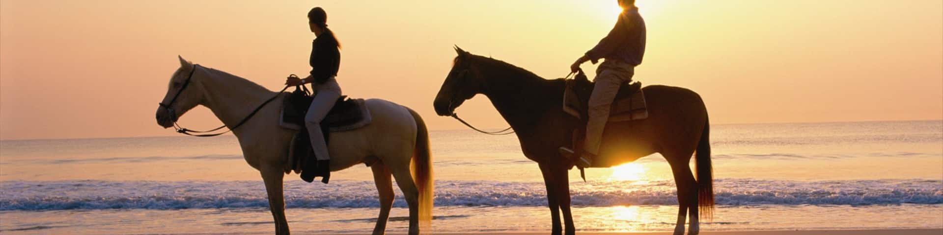 Amelia Island featuring a sunset, horseriding and a beach