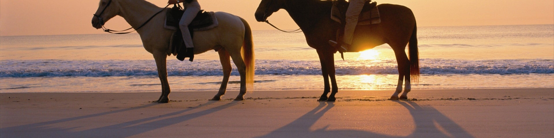 Amelia Island featuring a sunset, horseriding and a beach