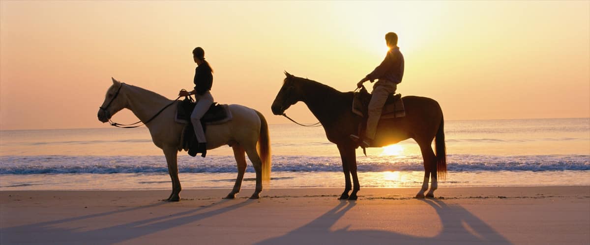 Amelia Island showing a sandy beach, a sunset and horse riding