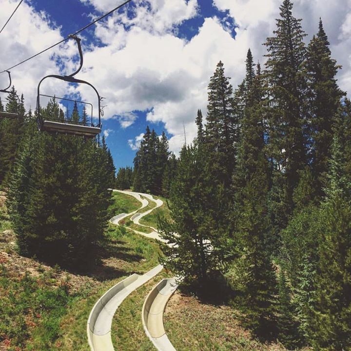 Holy shit! This #alpineslide was so damn #fast !! You need to do this #winterpark #colorado