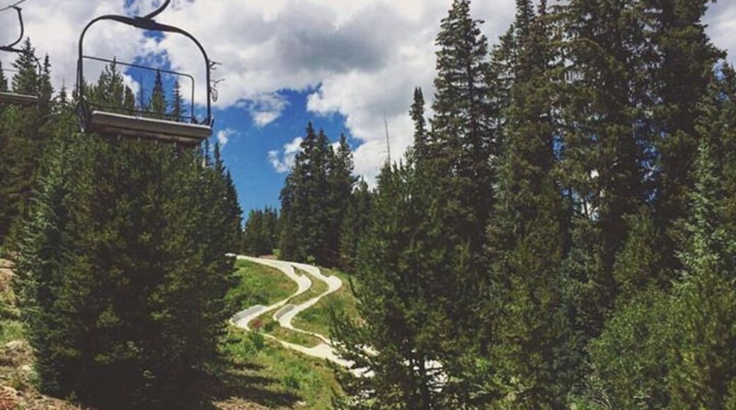 Holy shit! This #alpineslide was so damn #fast !! You need to do this #winterpark #colorado