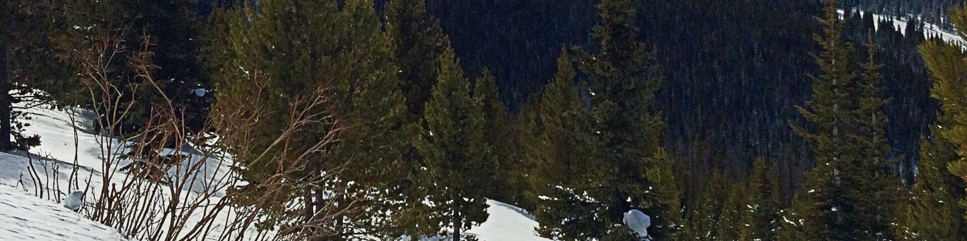 On Continental Divide snowmobile tour in Winter Park, CO