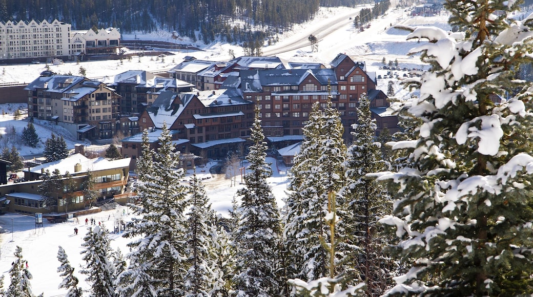 Winter Park som inkluderer snø og luksushotell eller resort