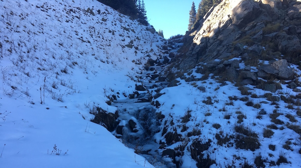 Winter Cabin Hike
#WinterWonders