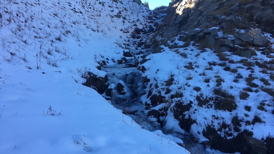 Winter Cabin Hike
#WinterWonders