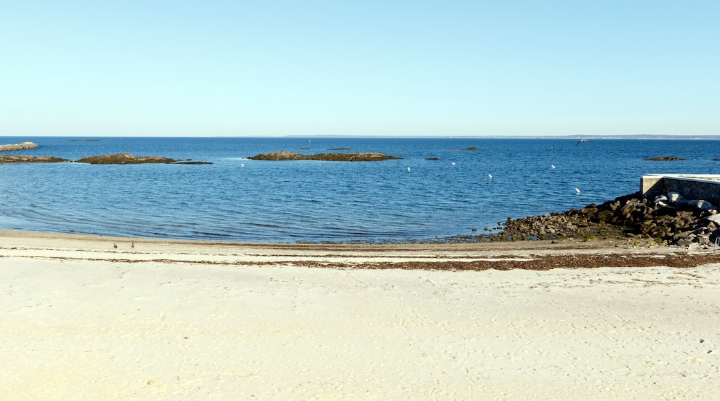 Beach scenic on the Long Island Sound, Rye, New York, Westchester County