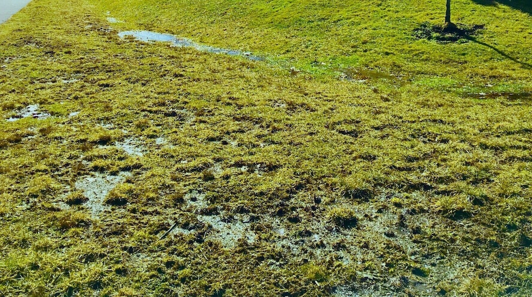Appalachia where friends and families come together in the great outdoors. The outdoors surround this picnic shelter where the sky meets the mountains and the mountains meet the grass. When taking this picture I stopped and thought to myself, Appalachia, a nice cool warm summer day with the mountains in the back perfect for some instagram worthy photos with my friends and family. This is the stereotypical appalachia captured in this image. #appalachianechoes