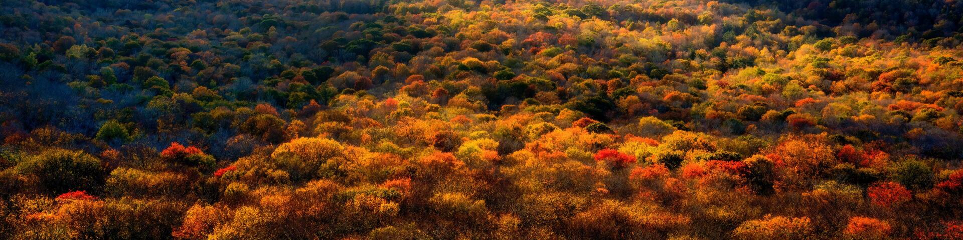 Colorful North Carolina Blue Ridge Mountains sunset in Autumn from Sugar Mountain