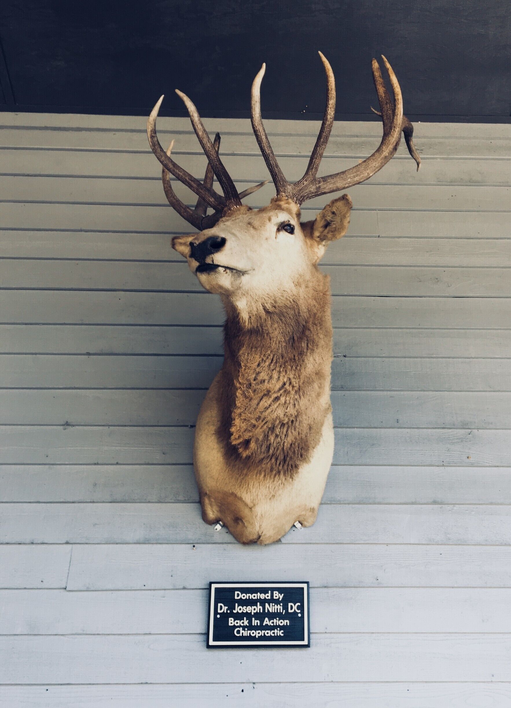 Ah, the good ol’ deer head mounted with pride. This reinforces the stereotype that every Appalachian is a hunting hillbilly who just wants to shoot stuff. This deer head is found at the front and center of a small town amphitheatre displayed for all to see and awe. In taking this picture I stopped and thought to myself, “Really? This is what we are showing off to the world?” It just surprised me that Banner Elk would reinforce the stereotype of hunting hillbillies as the face of the local amphitheatre. #appalachianechoes