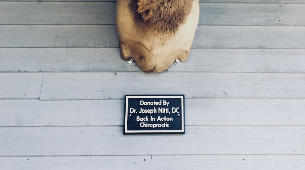 Ah, the good ol’ deer head mounted with pride. This reinforces the stereotype that every Appalachian is a hunting hillbilly who just wants to shoot stuff. This deer head is found at the front and center of a small town amphitheatre displayed for all to see and awe. In taking this picture I stopped and thought to myself, “Really? This is what we are showing off to the world?” It just surprised me that Banner Elk would reinforce the stereotype of hunting hillbillies as the face of the local amphitheatre. #appalachianechoes