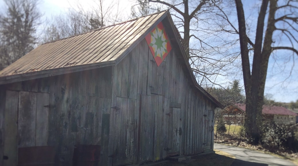 This barn is a classic example of the stereotypical Appalachia. This barn is just on the side of the path and appears to be untouched and on the verge of crumbling. It makes me stop and think about this rustic stuck-in-time image that Appalachia has and how much is Appalachia trying to preserve this image? How I framed this photo I wanted it to look like you just stumbled upon it on a path in the middle of Appalachia. In reality it is the middle of a park right next to workout equipment. It is amazing how as the photographer I can choose and manipulate what my audience sees. #appalachianechoes