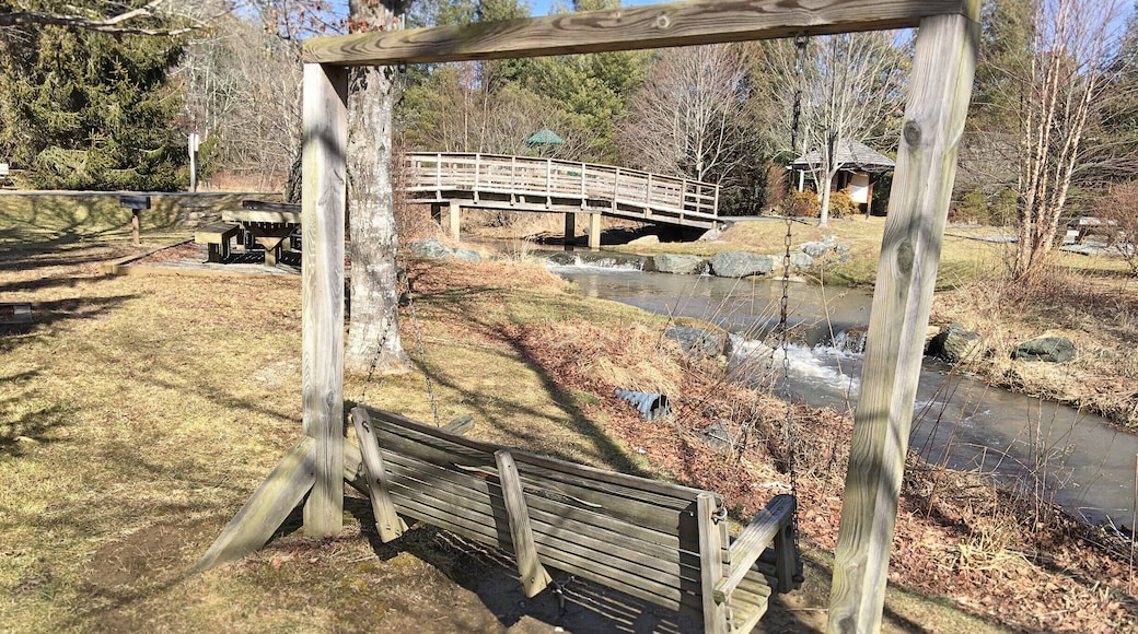 Throughout my childhood I spent so much time at this park. I always remember of thinking of it as the park in the middle of the mountains. What I never noticed as a child was how every single aspect of this park was planned out and put there for a reason. Likewise before studying the photographic image I had never thought about how we construct a image and its affordances and constraints. One thing I really want to point out in this image is that while we have this beautiful park there is a huge ugly pipe in the middle of the photograph. It is part of the necessity of the planning of the park, just like the frame is a necessity of an image. We sometimes want to forget it is there but it is a necessary part of an image and still has meaning. #appalachianechoes