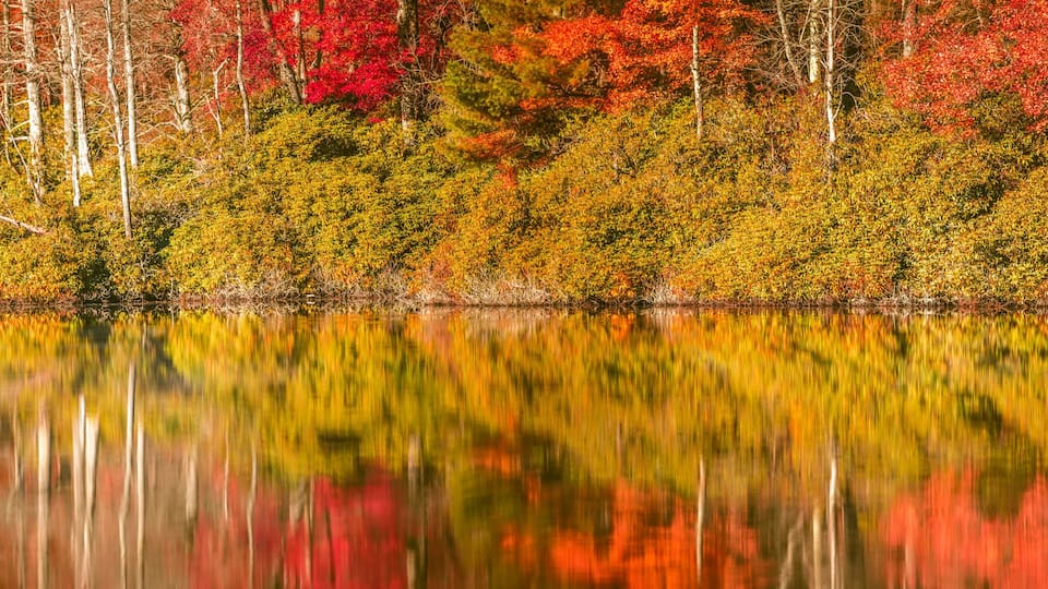 julian price lake and granfather mountain autumn season