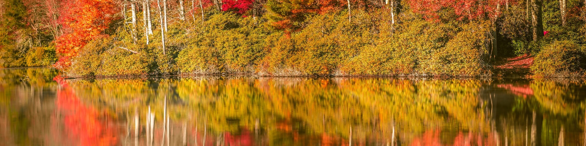 julian price lake and granfather mountain autumn season