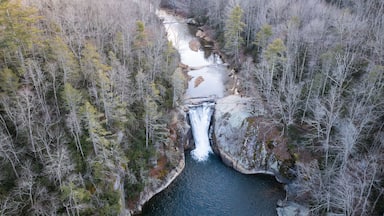 Ein Fluss fließt durch ein bewaldetes Tal mit einem Wasserfall.