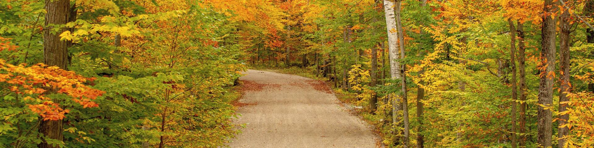 Back road near Door County Curvy Highway