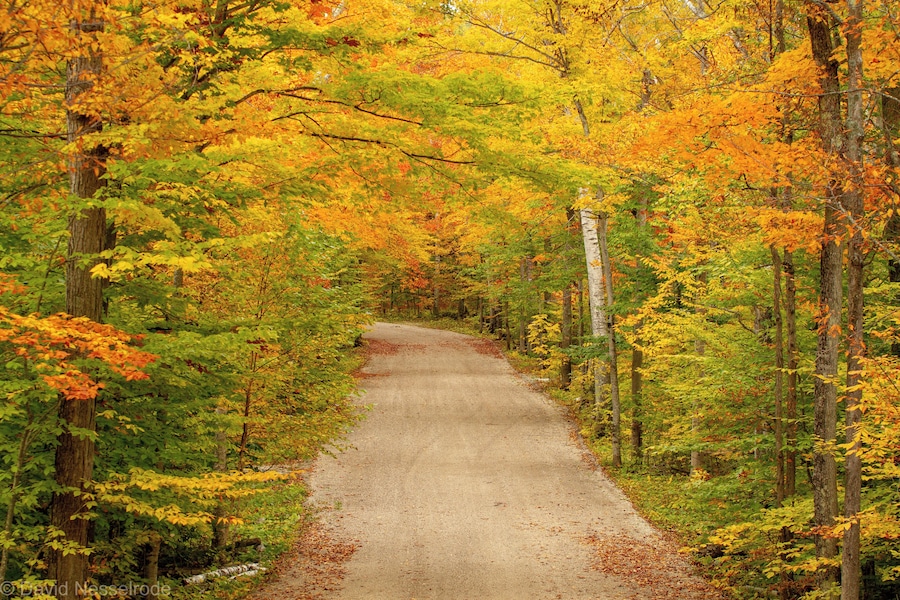 Back road near Door County Curvy Highway