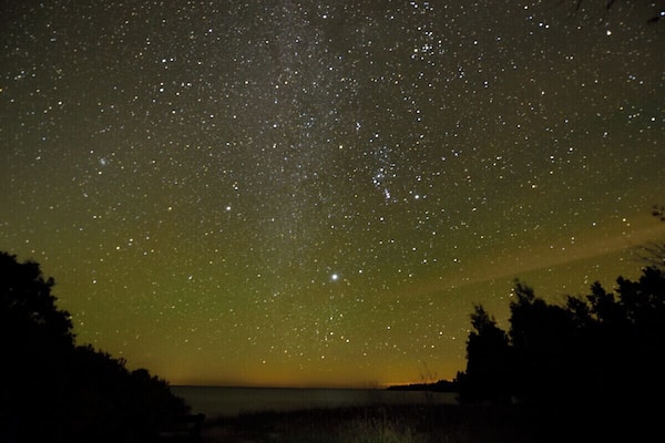 Un ciel étoilé au-dessus d’un paysage côtier, avec les silhouettes d’arbres et une étendue d’eau.