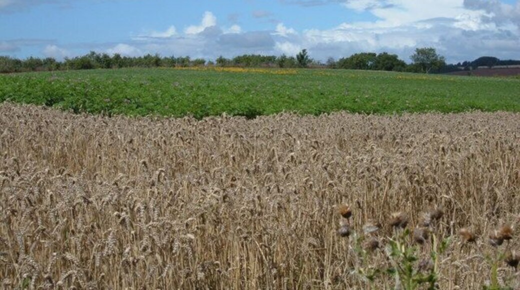 Farmland near Charingworth. Looking north over the fields from the top of Goose Hill.