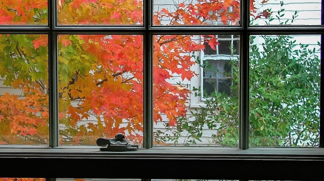 Beautiful small town in New Hampshire where you can enjoy great leaf peeping in early October.