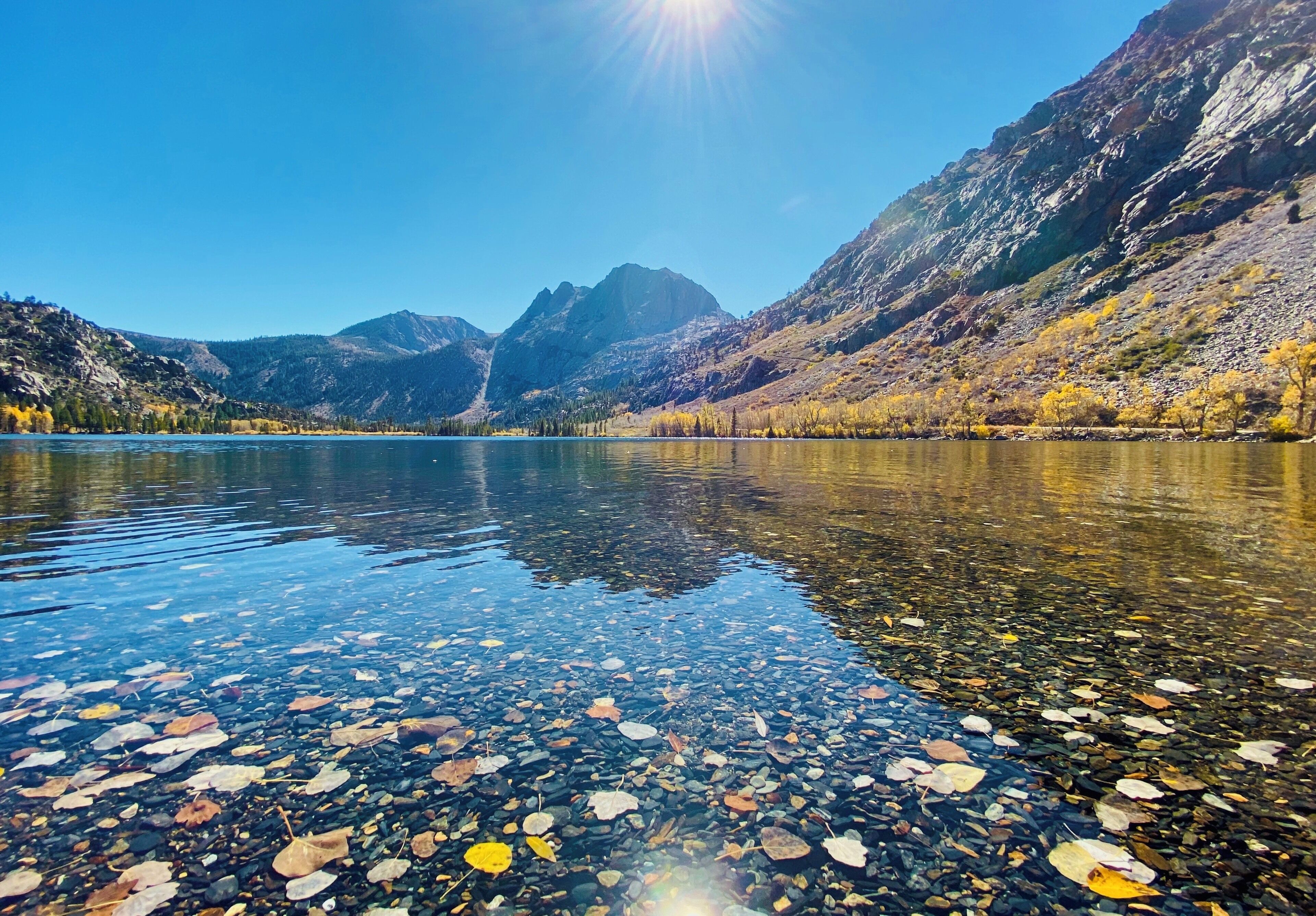 Fall colors in June lake loop