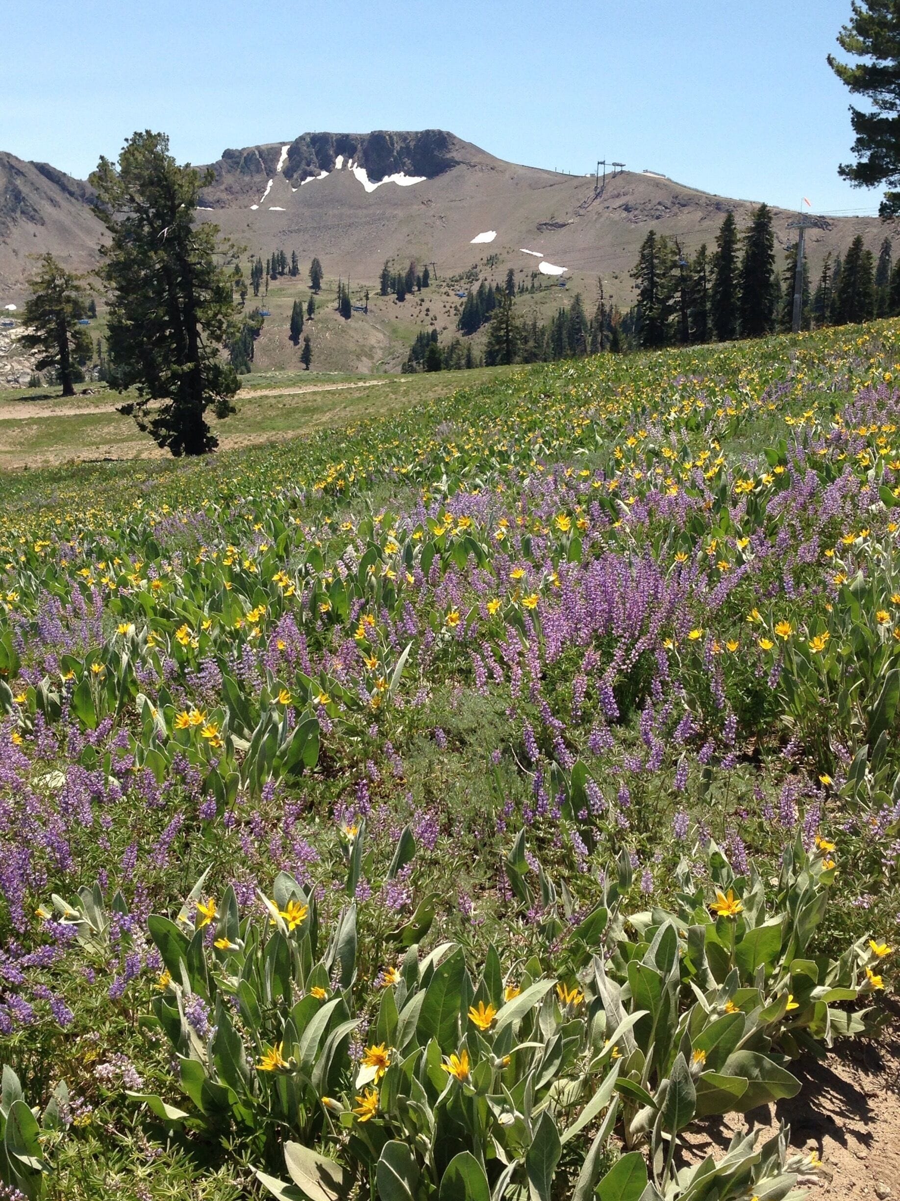 Top of the ski area.