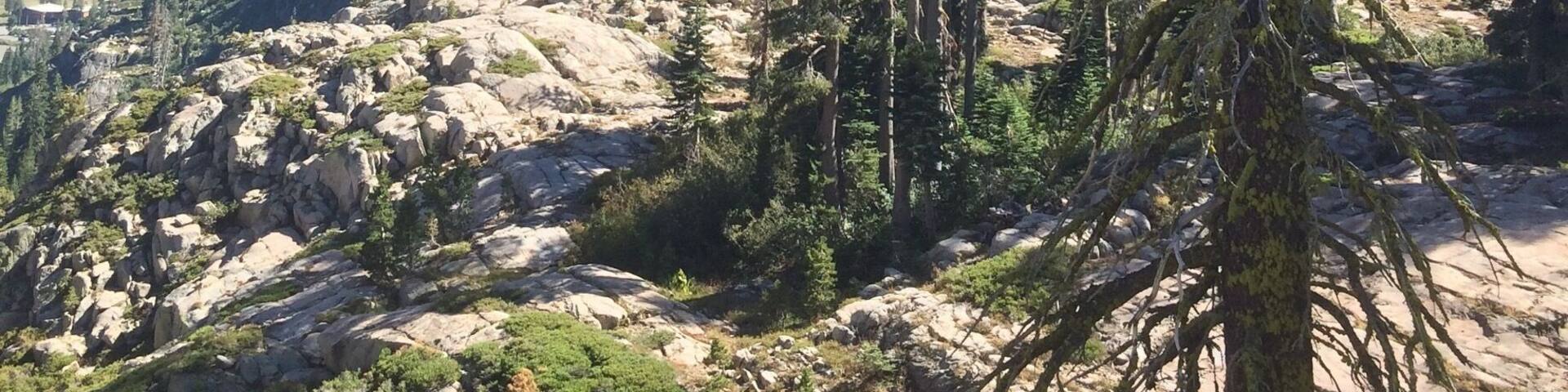 Hiking trail to Five Lakes in Lake Tahoe. Scenery is perfect to clear your mind.