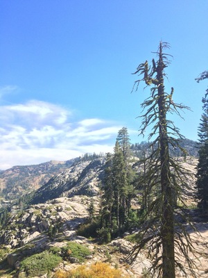 Hiking trail to Five Lakes in Lake Tahoe. Scenery is perfect to clear your mind.