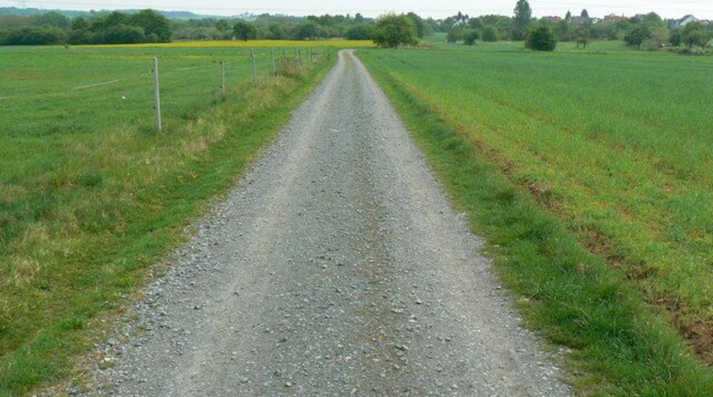 Track to Urberach