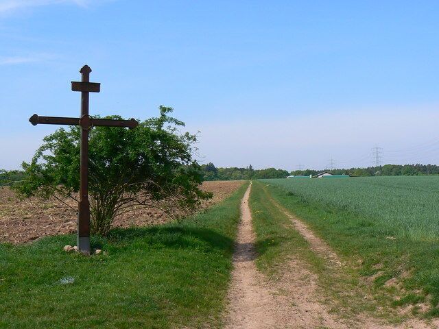 Farm track, south of Urberach