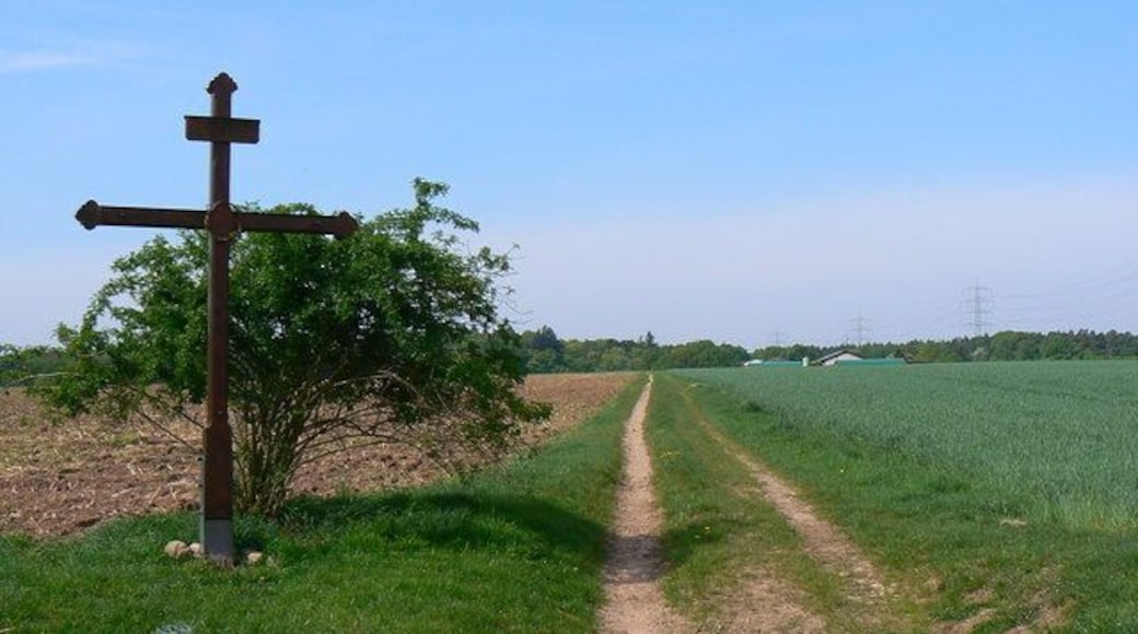 Farm track, south of Urberach