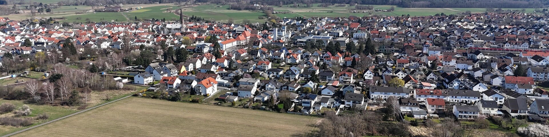 A densely populated town with a mix of residential buildings and open fields.