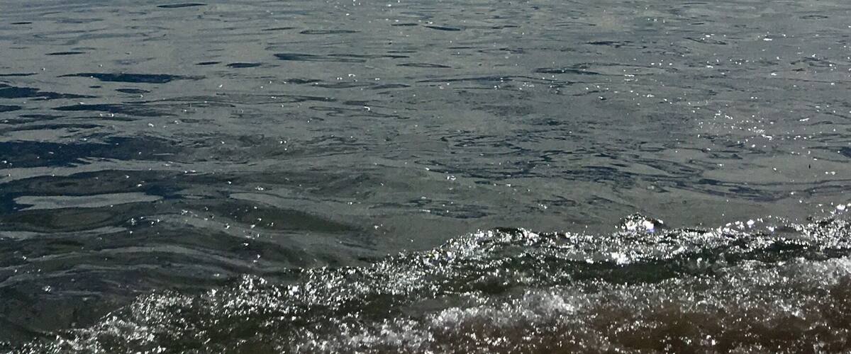Beach walk in San Carlos, Mexico.
School of dolphins we’re visible near the shore line.
#beach #nature #Mexico
(Feb 2018)