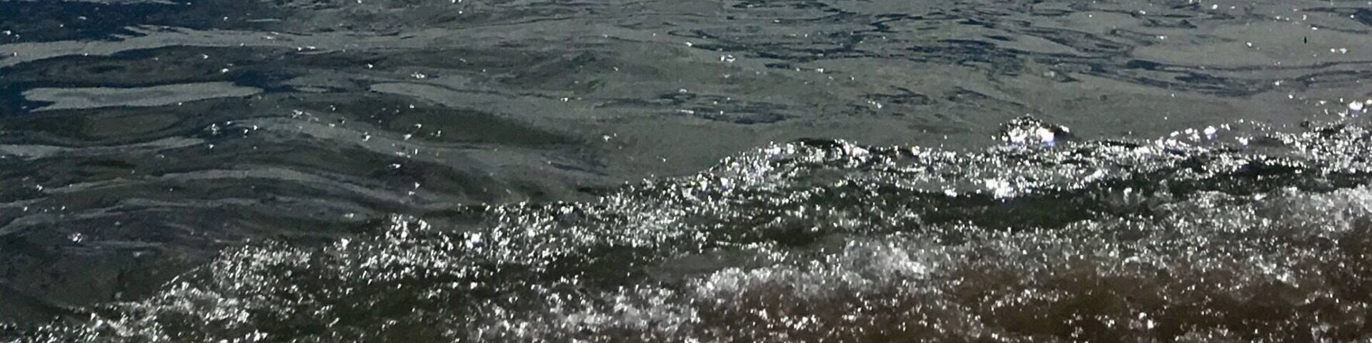 Beach walk in San Carlos, Mexico.
School of dolphins we’re visible near the shore line.
#beach #nature #Mexico
(Feb 2018)