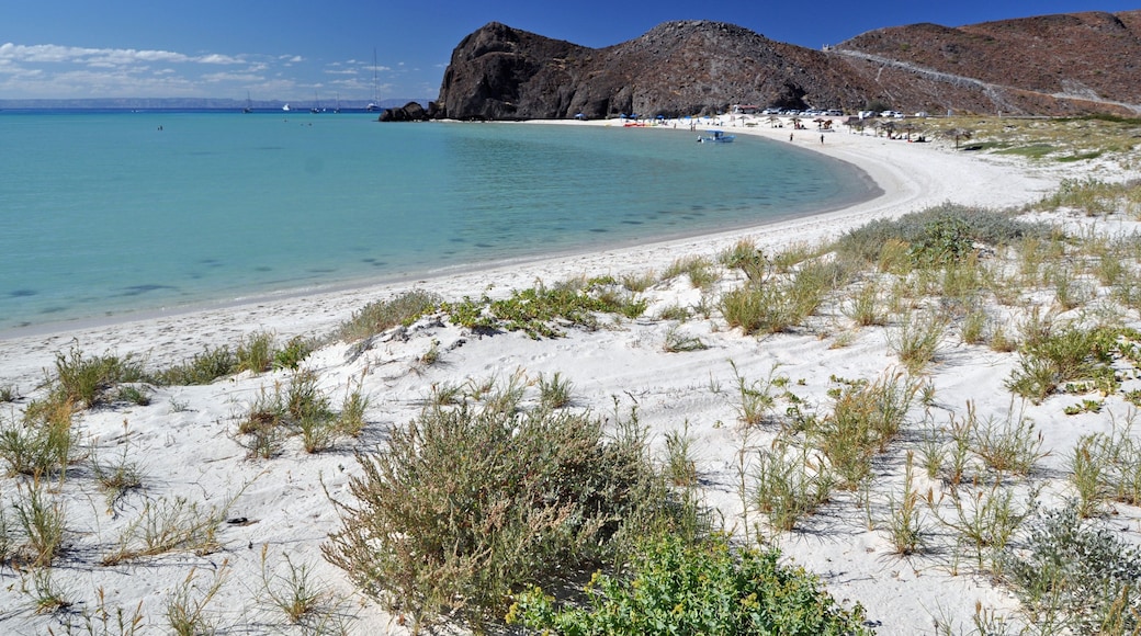 Baja California