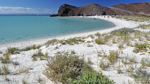 Baja California